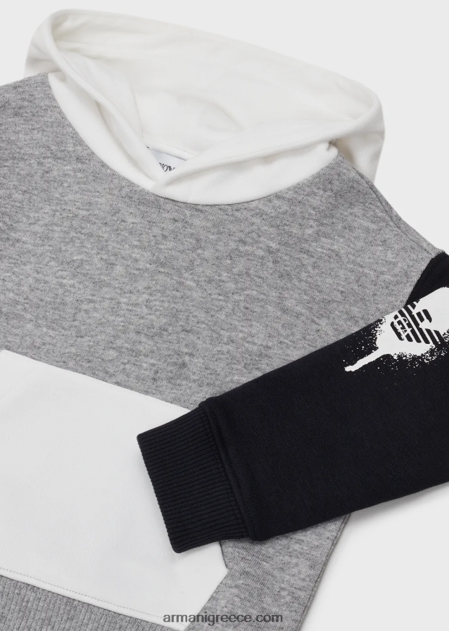 αγόρι Armani Φούτερ με κουκούλα χρώματος με βαμμένο λογότυπο αετού 4046R62718